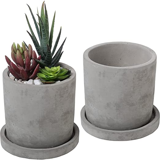 Cement Pots