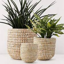 Seagrass Pot